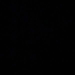 Meet your Posher, Jayda